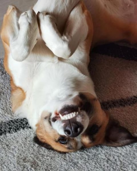 Salina sucht liebe Menschen