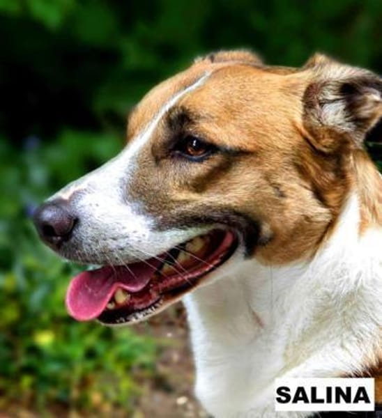 Salina sucht liebe Menschen