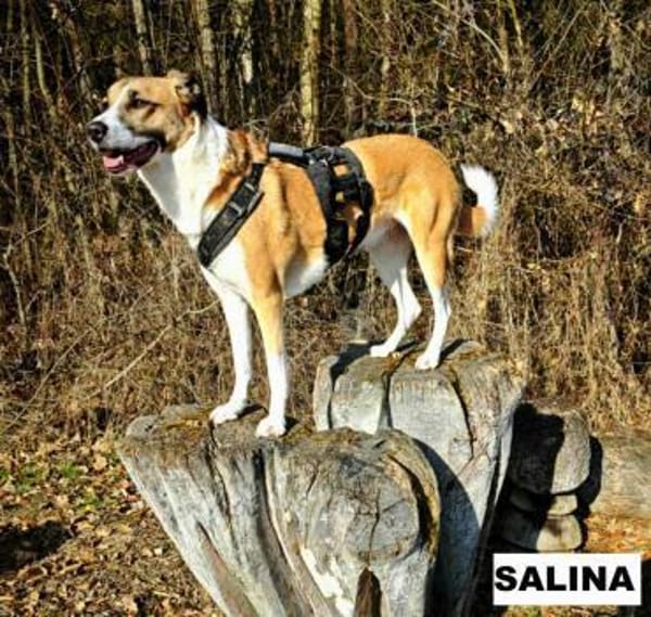 Salina sucht liebe Menschen