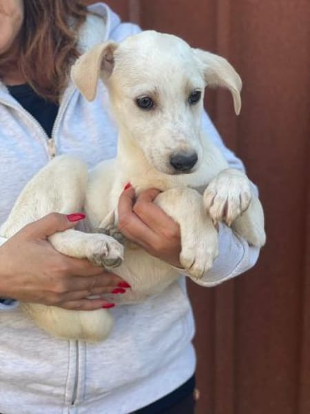 Ambra 💚💚💚 sehnt sich nach Sicherheit