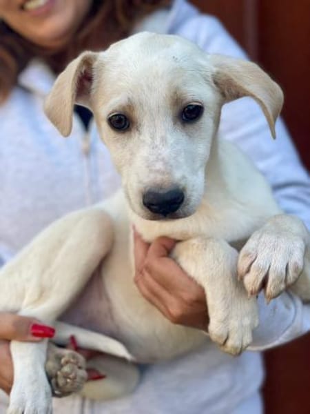 Ambra 💚💚💚 sehnt sich nach Sicherheit