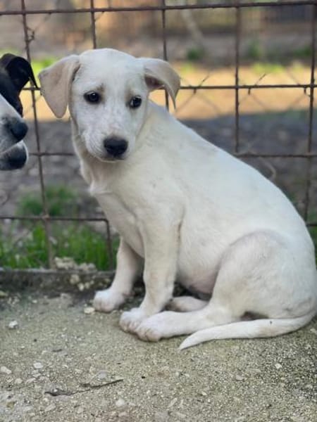 Ambra 💚💚💚 sehnt sich nach Sicherheit