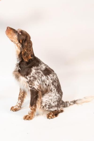 💙Bob Marley - in Deutschland auf PS