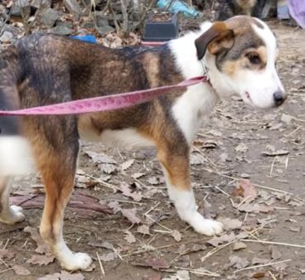 Dario sucht eine tolle Familie