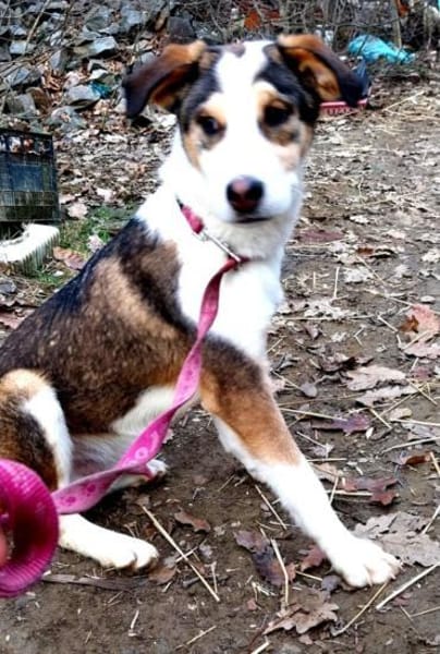 Dario sucht eine tolle Familie