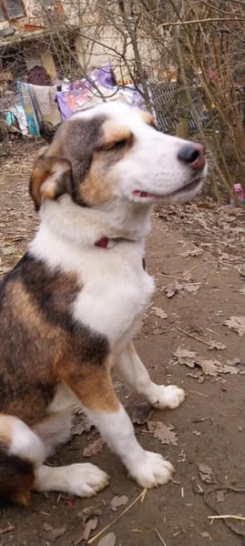 Dario sucht eine tolle Familie