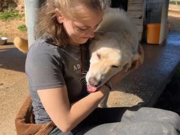 Tolomeo wünscht sich ein Zuhause