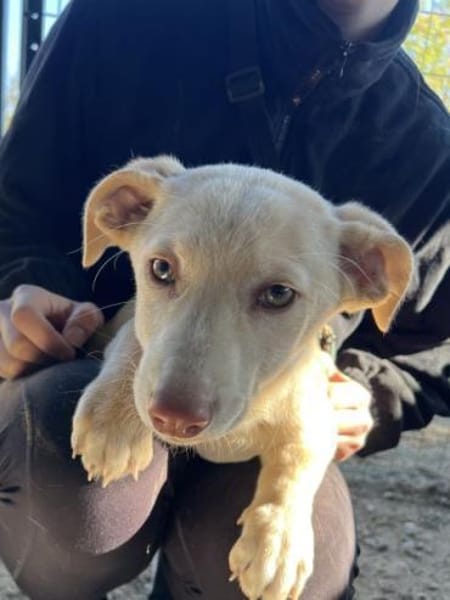 Francky Stanley, geb. 08/25, 81929 Münch