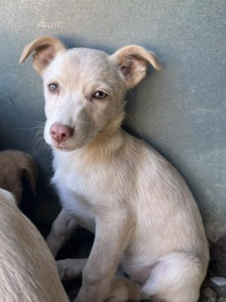 Francky Stanley, geb. 08/25, 81929 Münch