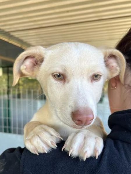 Francky Stanley, geb. 08/25, 81929 Münch