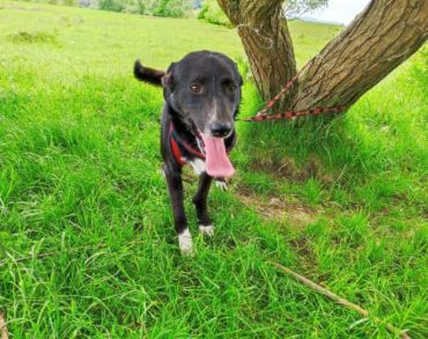 Verliebst du dich in Freddy?