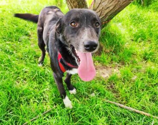 Verliebst du dich in Freddy?