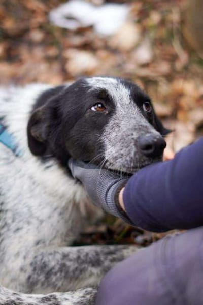 Alva braucht ganz viel Liebe 🍀