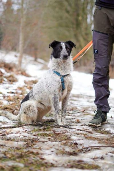 Alva braucht ganz viel Liebe 🍀