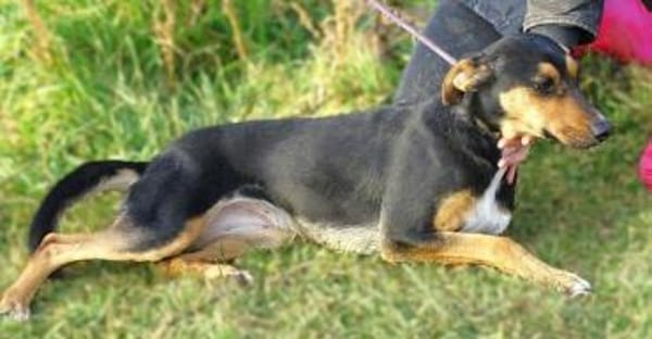 WENDY sucht ihr Glück