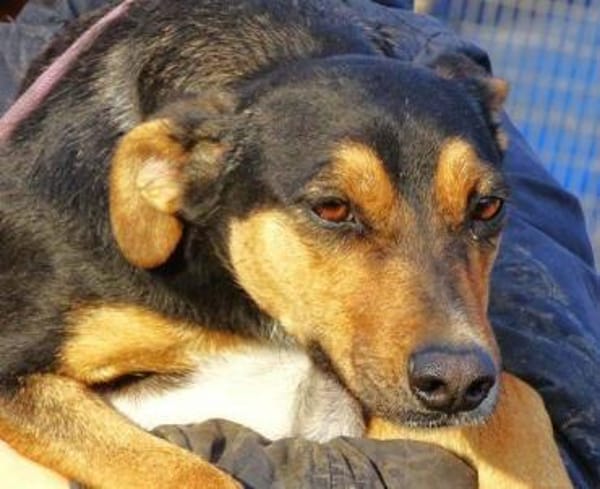 WENDY sucht ihr Glück