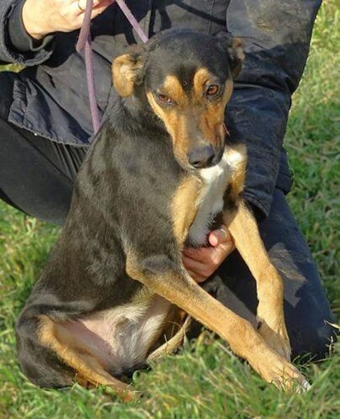 WENDY sucht ihr Glück