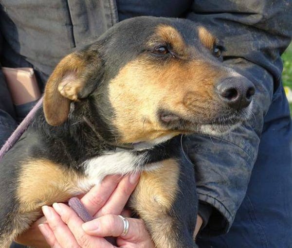 WENDY sucht ihr Glück