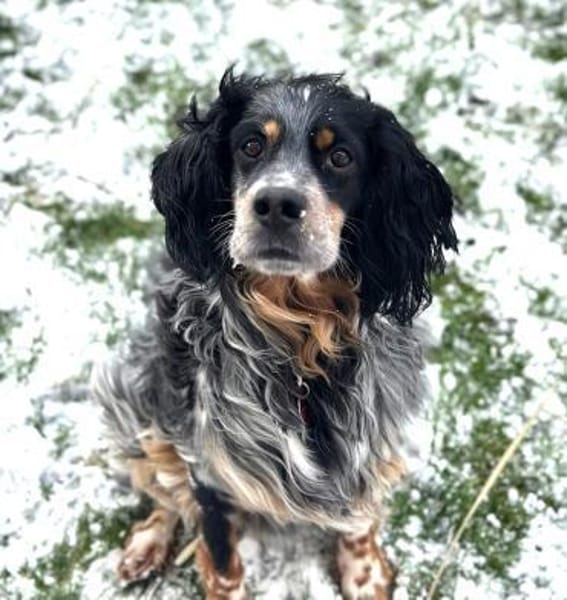 Lui - unkompliziert und menschenbezogen