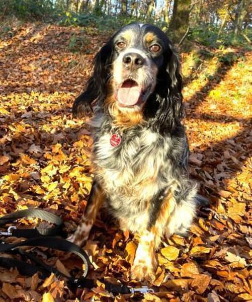 Lui - unkompliziert und menschenbezogen