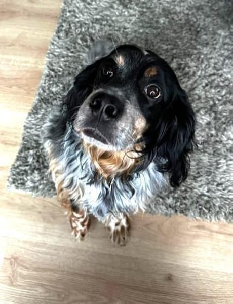 Lui - unkompliziert und menschenbezogen