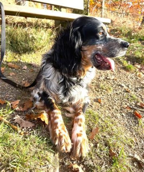 Lui - unkompliziert und menschenbezogen