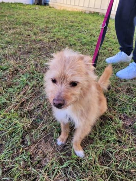 Roger sucht dringend Familenanschluß