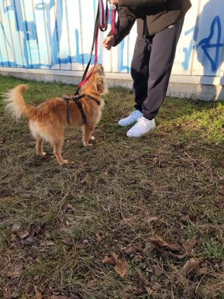 Roger sucht dringend Familenanschluß