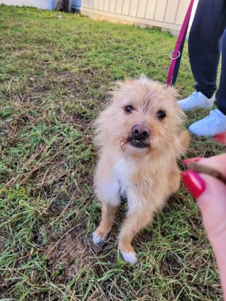 Roger sucht dringend Familenanschluß