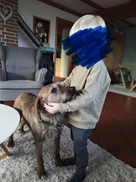 Giulio - auf Pflegestelle in Deutschland