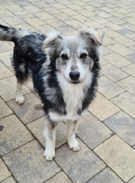 Bildhübsche MASHA sucht ihre Familie!