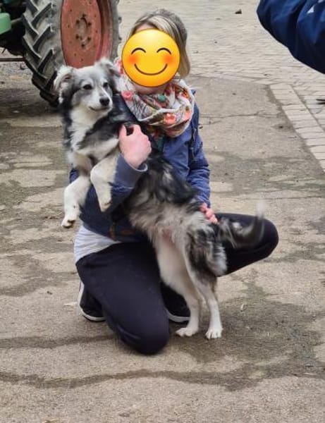 Bildhübsche MASHA sucht ihre Familie!