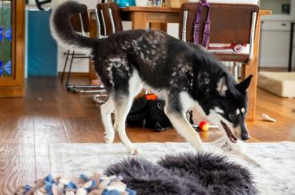 Bonita: verzaubert sie auch dich