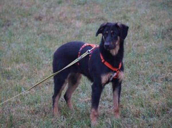 Nehmen Sie liebenswerten Deny auf ?