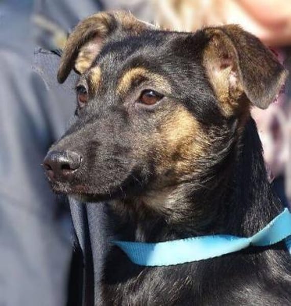 LINA sucht Familienanschluss