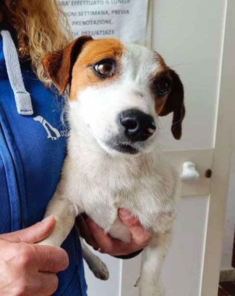 Giorgia, Pflegestelle in Hessen