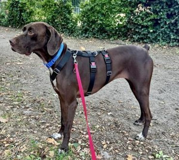 Asia, lernfreudig, offen, freundlich