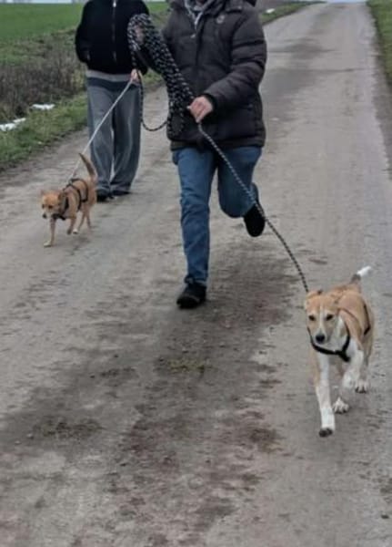 Kuschelige Loulou🌺sucht noch Nestwärme