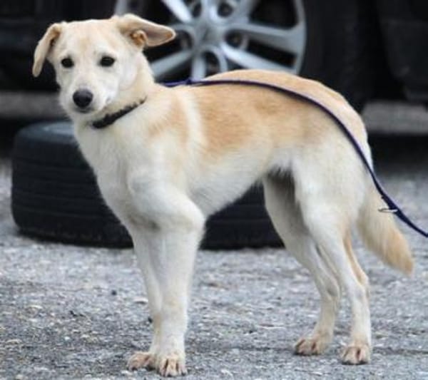 Amali ist einfach nur bezaubernd + lieb!