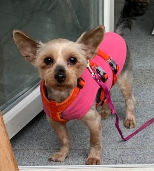 Joana   72664 Kohlberg