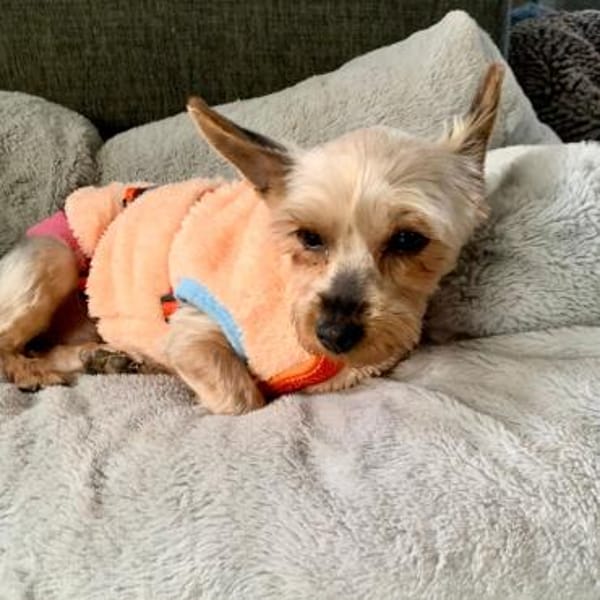 Joana   72664 Kohlberg