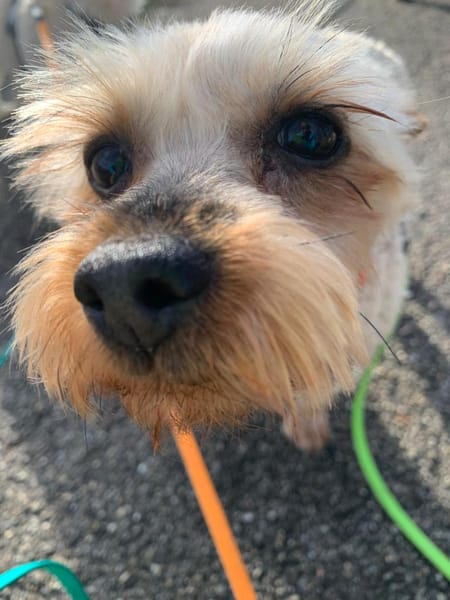 Joana   72664 Kohlberg