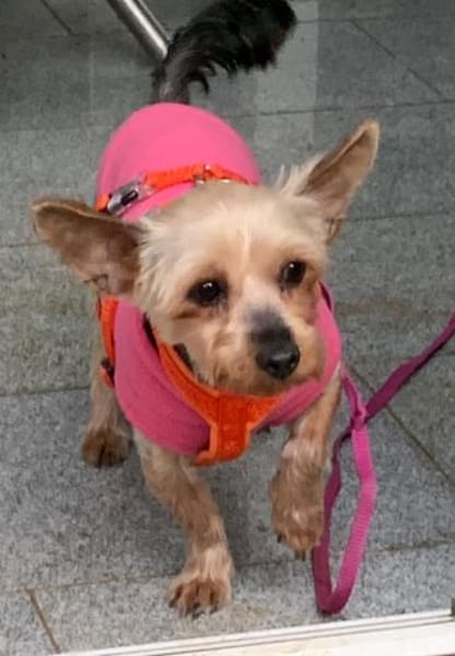 Joana   72664 Kohlberg