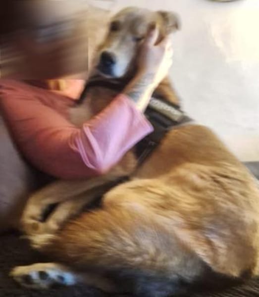 LEON - Herzensbrecher