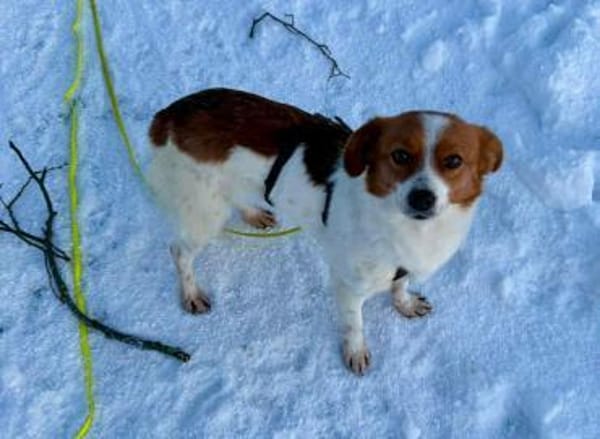 Nala - sucht ihren Königsfelsen🍀