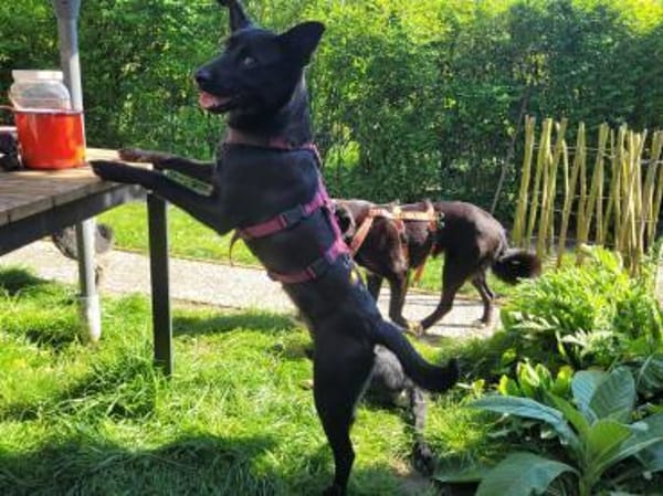 Ella, so eine süße Maus