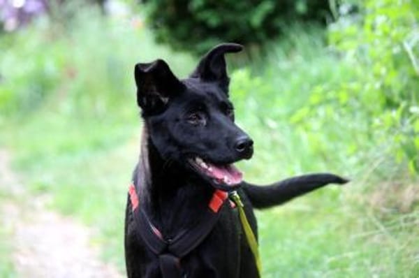 Ella, so eine süße Maus