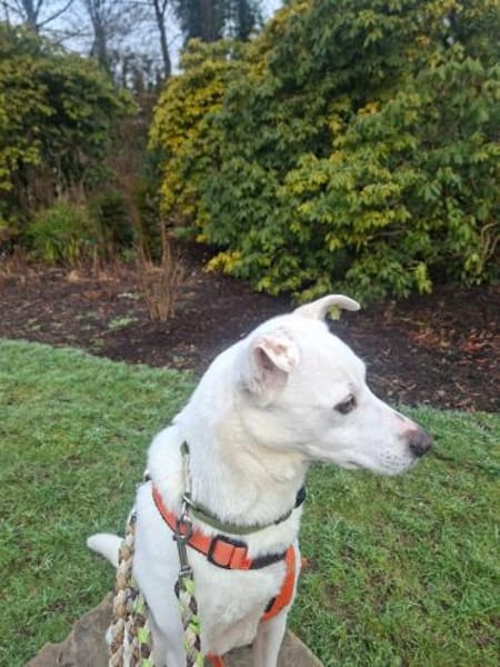 Frieda - fröhlich und unkompliziert