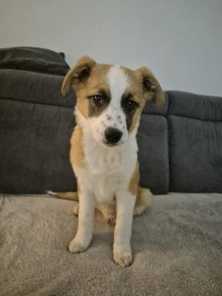 Feylla - findet das Leben spannend🍀