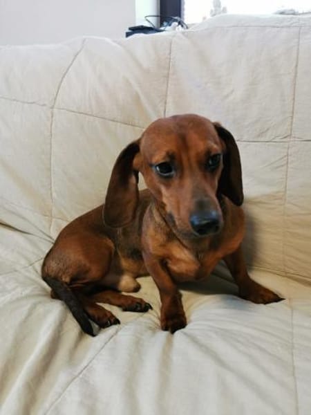 JERRY - Pupertät auf kurzen Beinen